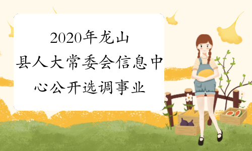 2020年龙山县人大常委会信息中心公开选调事业单位工作人