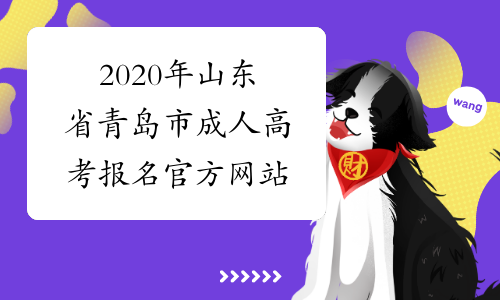 2020年山东省青岛市成人高考报名官方网站
