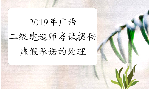 2019年广西二级建造师考试提供虚假承诺的处理通告