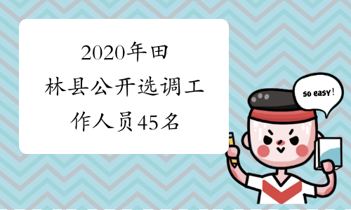2020年田林县公开选调工作人员45名