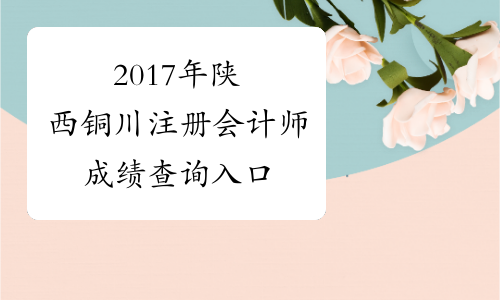 2017年陕西铜川注册会计师成绩查询入口