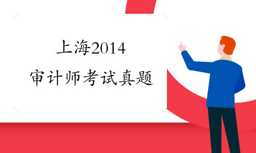 上海2014审计师考试真题
