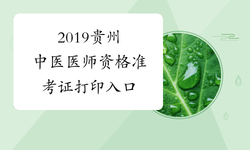 2019贵州中医医师资格准考证打印入口