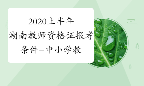 2020上半年湖南教师资格证报考条件-中小学教师资格考试网