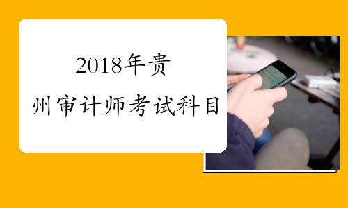 2018年贵州审计师考试科目