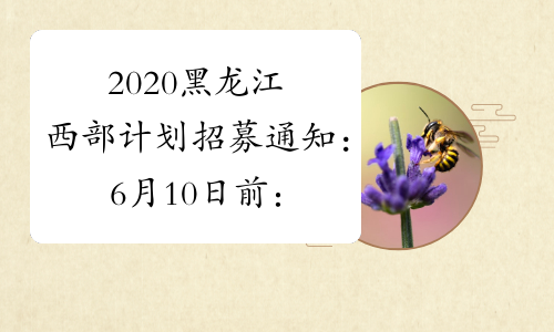 2020黑龙江西部计划招募通知：6月10日前：完成选拔