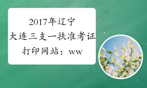2017年辽宁大连三支一扶准考证打印网站：www.dl12333.gov.cn