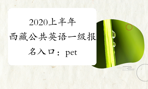 2020上半年西藏公共英语一级报名入口：pets.neea.edu.cn