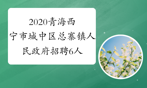 2020青海西宁市城中区总寨镇人民政府招聘6人公告