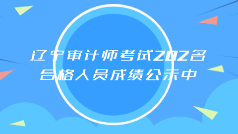 辽宁审计师考试202名合格人员成绩公示中.png