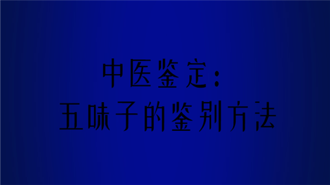 中医鉴定：五味子的鉴别方法.png