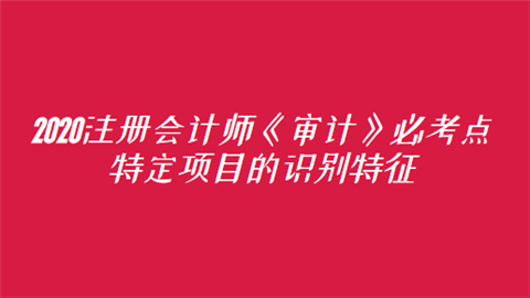 2020注册会计师《审计》必考点：特定项目的识别特征.png