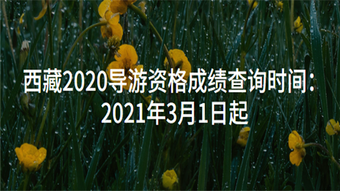西藏2020导游资格成绩查询时间：2021年3月1日起.png