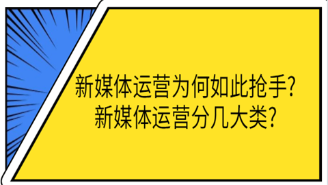 新媒体运营为何如此抢新媒体运营分几大类.png