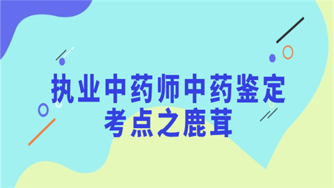 执业中药师中药鉴定考点之鹿茸.png