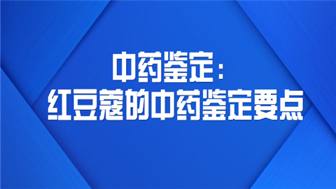 中药鉴定：红豆蔻的中药鉴定要点.png