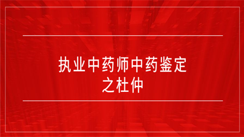 执业中药师中药鉴定之杜仲.png